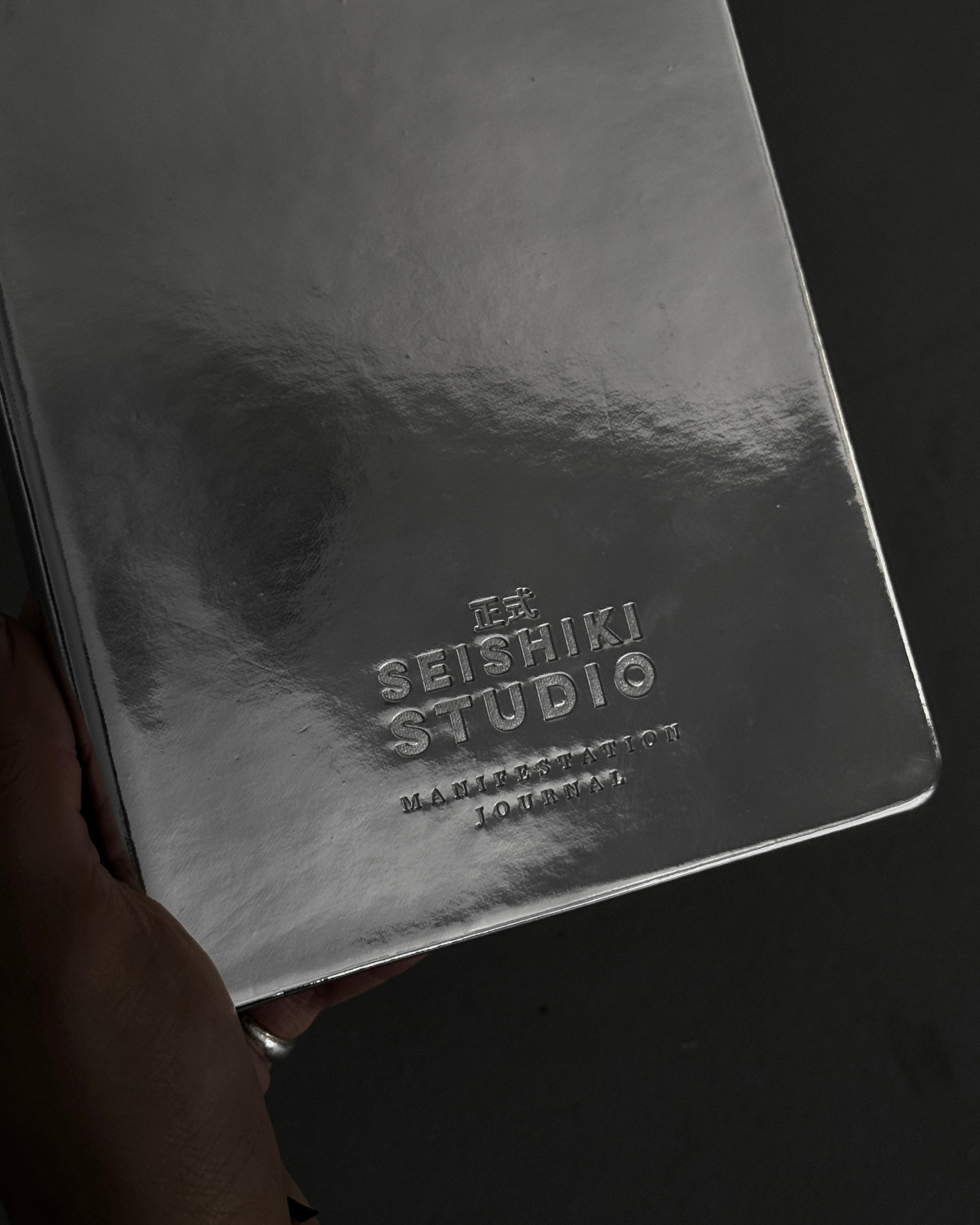 Manifestatiedagboek ZILVER