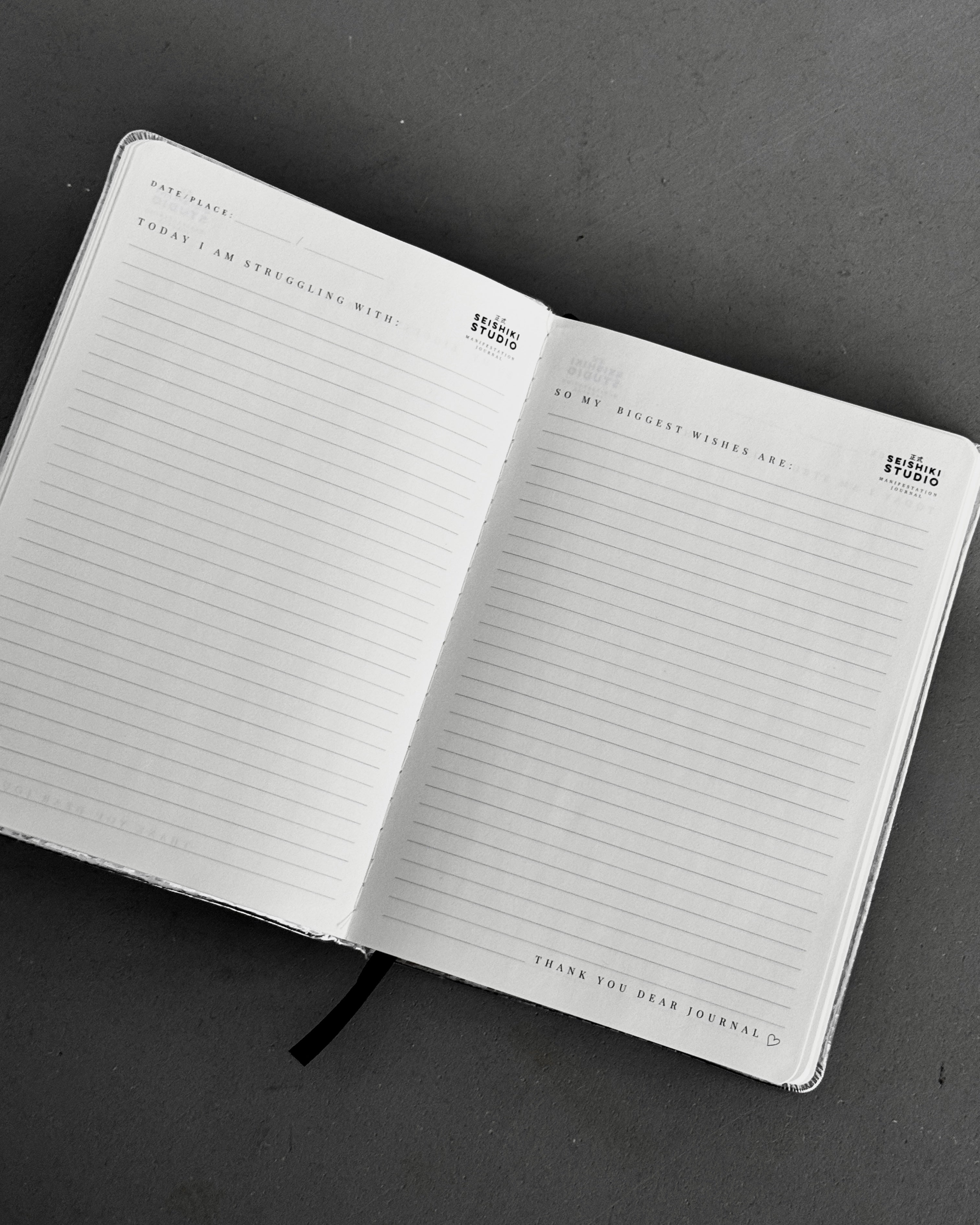 Manifestatiedagboek ZILVER