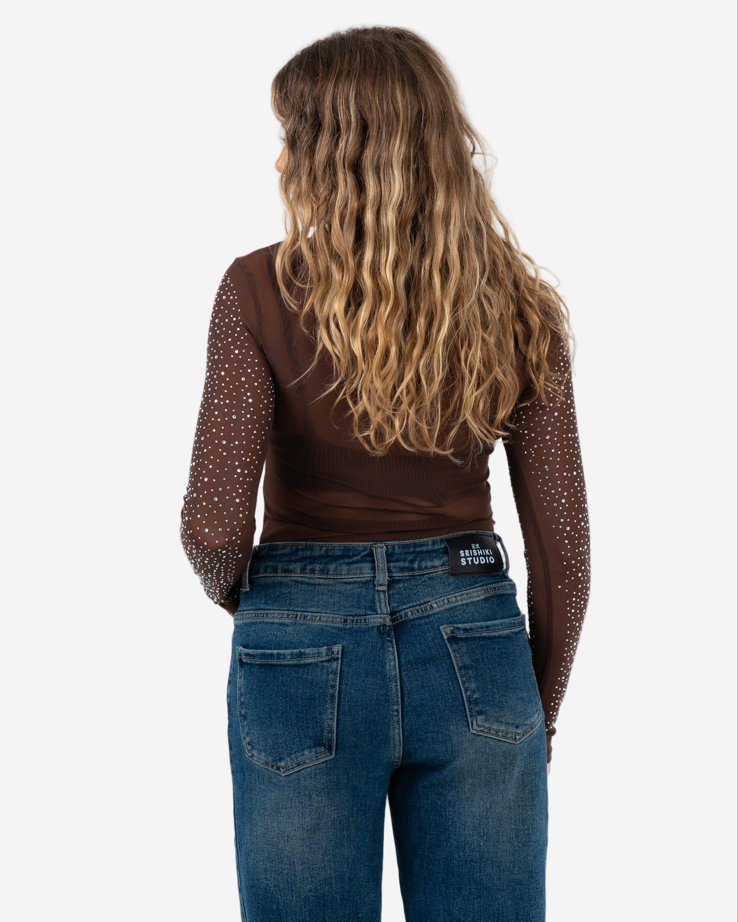 SPARKLE MESH BODYSUIT BROWN/SILVER